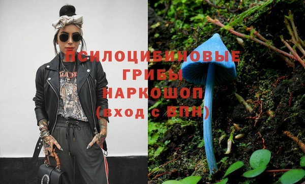 гашиш Анжеро-Судженск