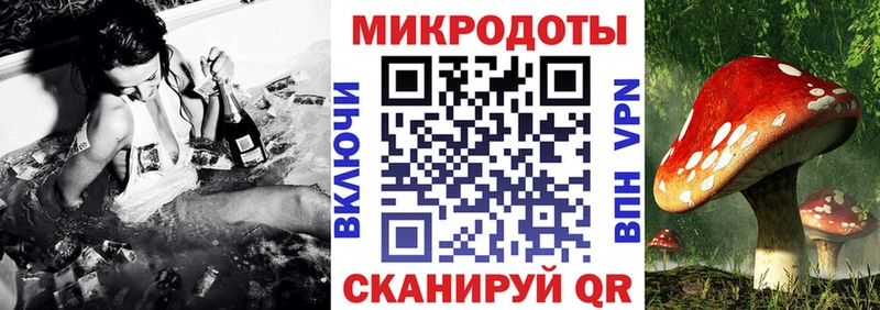 купить наркоту  Жердевка  Галлюциногенные грибы прущие грибы 